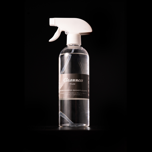 Професионален ароматизатор 500 мл - Cleanness